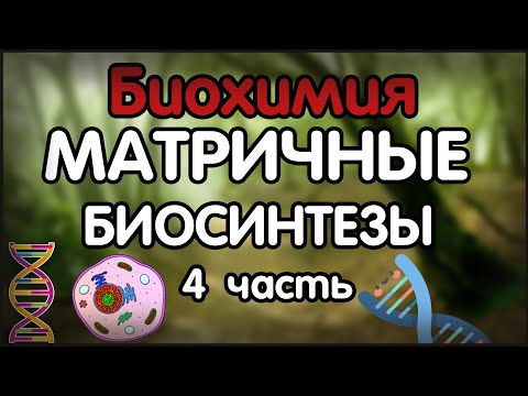 Видео: Биохимия. Лекция 38. Матричные биосинтезы. ДНК-технологии.