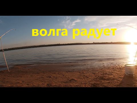 Видео: Ночная рыбалка на реке Волга! Остров Сарпинский!