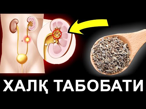 Видео: ҲАЁТ ВА ҚАЙТА ТУҒИЛИШ УРУҒЛАРИ. ХАР КУНИ 1 ҚОШИҚ УКРОП УРУҒИНИ ЕДИМ .... АСАР ХАМ ҚОЛМАДИ!
