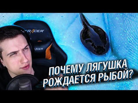 Видео: Hellyeahplay смотрит: Почему Лягушка Сперва Рождается Рыбой?