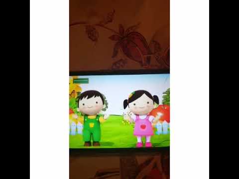 Видео: Жəндіктер əлемі