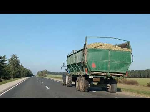 Видео: Из Пружан в Краски 