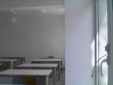 Видео: олимпиада 5-6 сынып