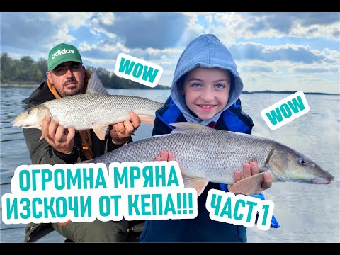 Видео: Гигантска мряна изскочи от кепа!!! Не пропускай!