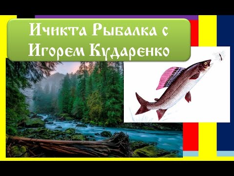 Видео: Ичикта. Лодка Уран 550.