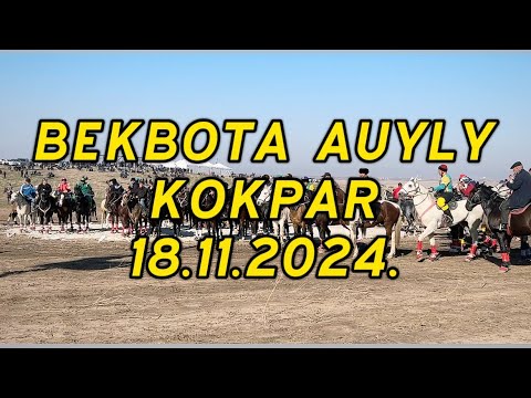 Видео: Келес ауданы Бекбота ауылы Толқын ағамыздың елден бата алу той көкпары 18.11.2024