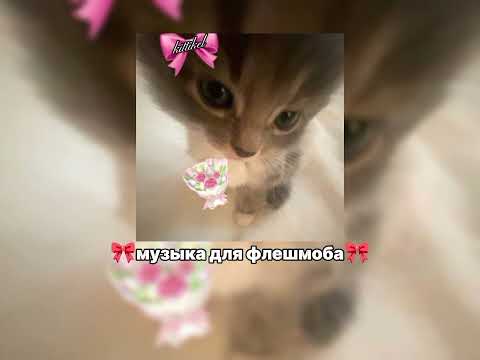 Видео: 🎀музыка на флешмоба🎀