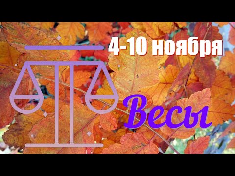 Видео: ВЕСЫ ♎️Неделя с 4 по10 ноября 2024 года.