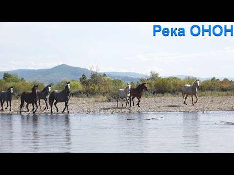 Видео: Тайны Забайкалья. 2016г. Река Онон 2.0.