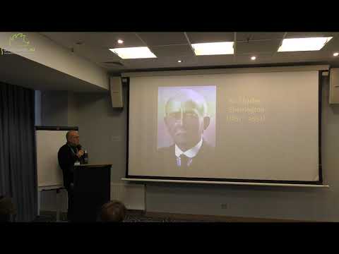 Видео: Лекция Пальчика А Б  «Ранние маркеры развития детского церебрального паралича»