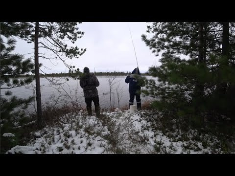 Видео: ЗИМНЯЯ рыбалка на летнюю удочку!!! Сорога долбит как с пулемета!!! Сибирская рыбалка 2024г