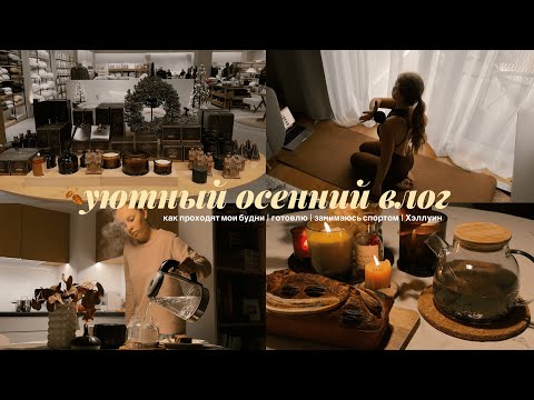 Видео: уютный осенний влог | calm vlog