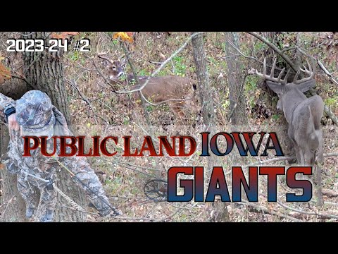 Видео: Гиганты общественных земель Айовы