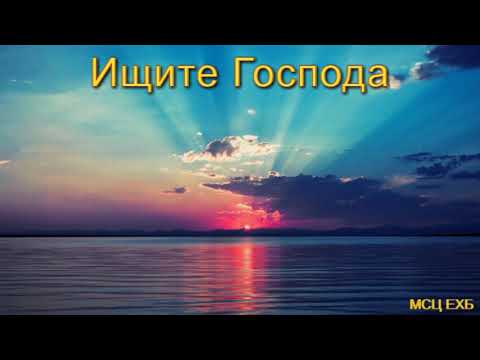 Видео: "Ищите Господа". Г. В. Костюченко. Проповедь. МСЦ ЕХБ