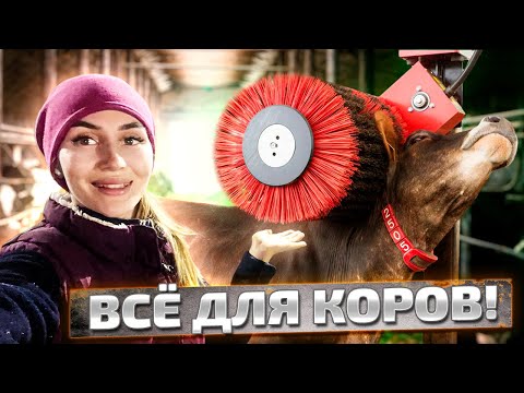 Видео: Лучший коровник. Переезд индюков. Курсы по сыроварению | Молодая Ферма