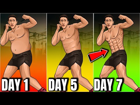 Видео: 7 ДНЕЙ ПО 7 МИН. 7 УПРАЖНЕНИЙ СТОЯ ПО БОКСУ ДЛЯ СЖИРЕНИЯ ЖИРА