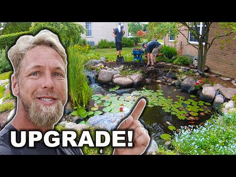 Видео: *Садовый пруд* с фильтром для очистки воды
