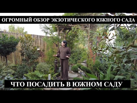 Видео: САМЫЙ БОЛЬШОЙ ОБЗОР ЭКЗОТИЧЕСКОГО САДА / Сделала дорожку из дерева в саду / СЕКРЕТЫ УХОДА / Новинки