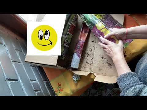 Видео: #посылка#растения#обзор# Получила посылку! Обзор растений. Июнь 2021.