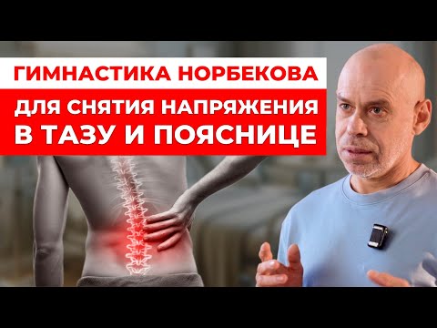 Видео: Суставная Гимнастика Норбекова для снятия напряжения в тазу и пояснице! Боли в спине пройдут 100%