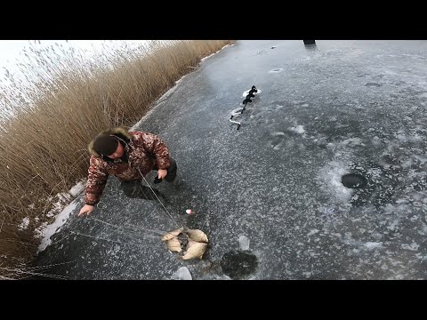 Видео: хапнул ли рыбы столько что не могли вытащить в лунку рекомендую посмотреть