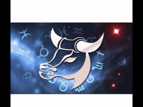 Видео: Как влюбить мужчину-Тельца. То что вы не слышали нигде.