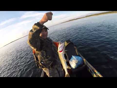 Видео: Осенняя охота в Намцах 1 часть