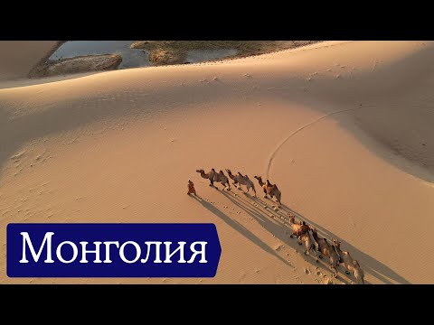 Видео: Монголия