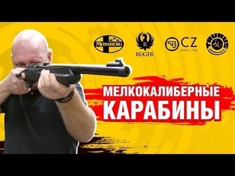 Видео: Мелкокалиберные карабины. Новинки SAFARI