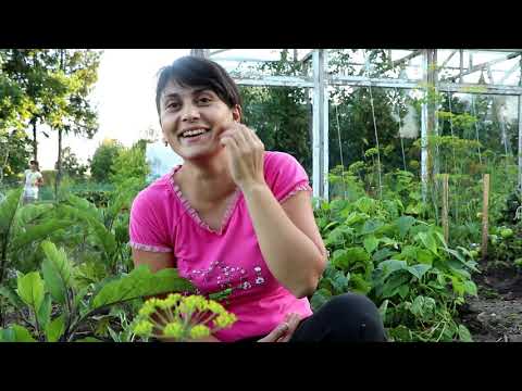 Видео: Дела насущные