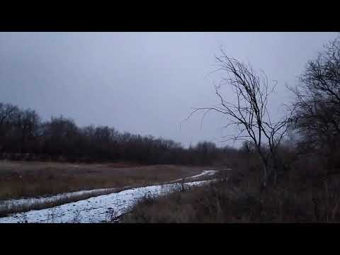 Видео: Рожок по зайцу 08.12.2019г.