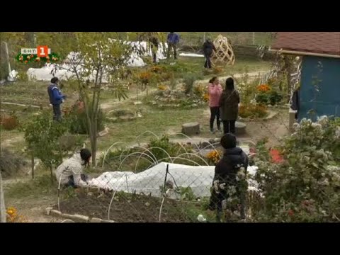 Видео: Градско земеделие, "Малки истории" 19.12.2024