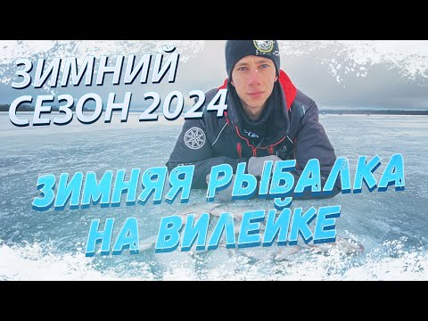 Видео: ЗИМНЯЯ РЫБАЛКА на ВИЛЕЙКЕ в демисезонных САПОГАХ FORTMEN КОЗЫРЬ!