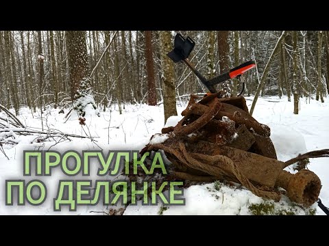 Видео: Лесные поиски. Первый запуск Семёныча после долгого простоя. Коп металла
