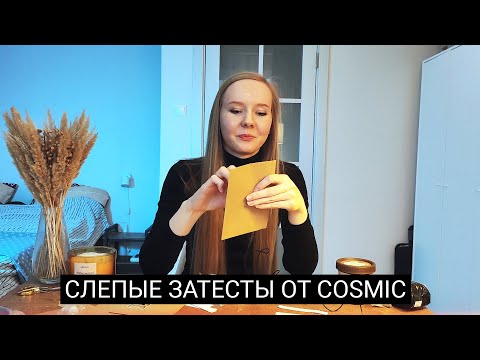 Видео: Слепые затесты от Ани: ищем льва