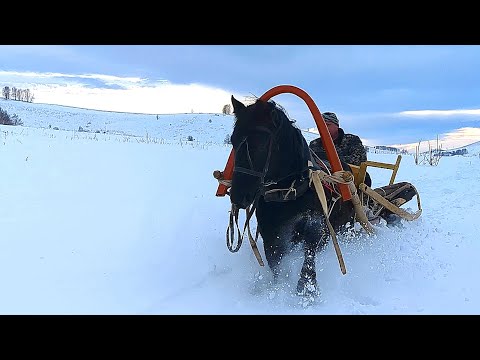 Видео: ЛЮТАЯ РАБОТА/ЯРОСТНЫЙ OFFROAD!