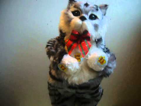 Видео: Поющий кот игрушка