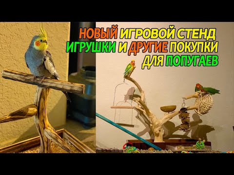 Видео: НОВЫЙ ИГРОВОЙ СТЕНД ДЛЯ ПОПУГАЕВ ИГРУШКИ И ДРУГИЕ ПОКУПКИ ДЛЯ ПТИЧЕК