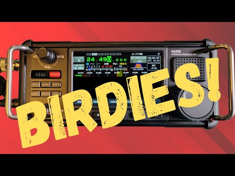 Видео: Xiegu X6200 Birdies? Давайте узнаем