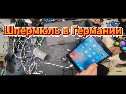 Видео: шпермюль опять порадовал находками.