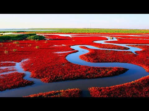 Видео: Манай гарaгийн 15 үзэсгэлэнтэй газар