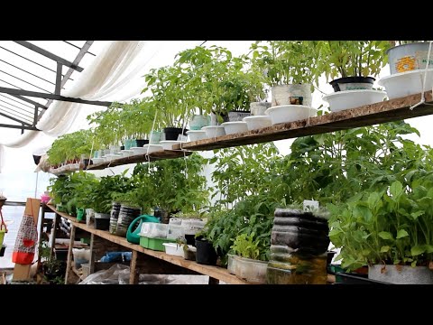 Видео: Не откладывайте на потом! Пора готовиться к следующему посадочному сезону!