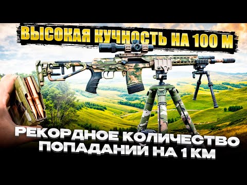 Видео: Супер стрельба из СВД (Тигр)! Рекордное количество попаданий на 1км. Рекордная кучность на 100м.