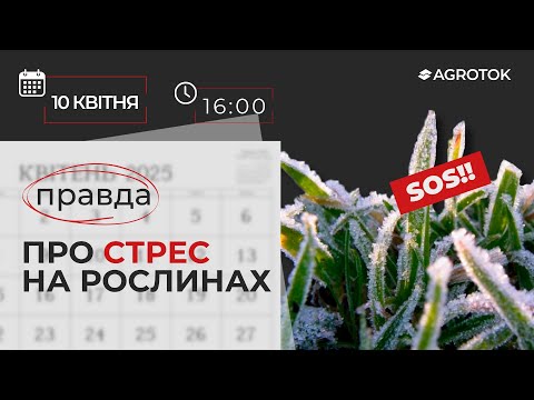 Видео: ПРАВДА про СТРЕС НА РОСЛИНАХ