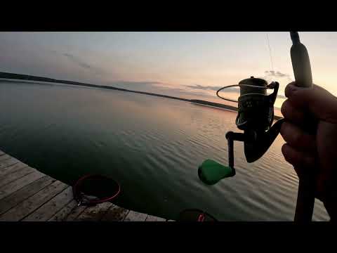 Видео: Ну люблю я подлещика ловить ! Чигиринское водохранилище рулит, отчёт № 338