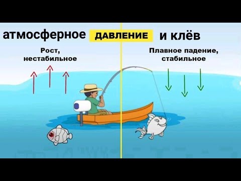 Видео: Влияние Атмосферного Давления на Клёв Рыбы