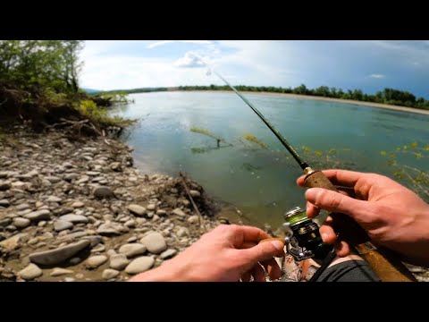 Видео: ЯК ЛОВИТИ ГОЛОВНЯ на РІЧЦі, пошук та вибір снасті, рибалка на ГОЛОВНЯ в ТРАВНІ