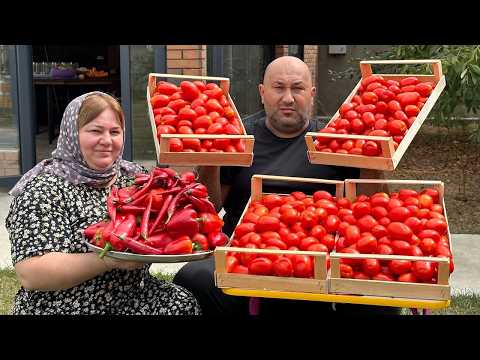 Видео: Секретная Аджика из Деревни! Так Вкусно Вы Ещё Не Пробовали