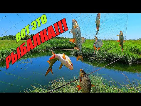 Видео: РЫБА УТАЩИЛА МОЙ ЭКРАН!!! Удачная рыбалка на экраны.