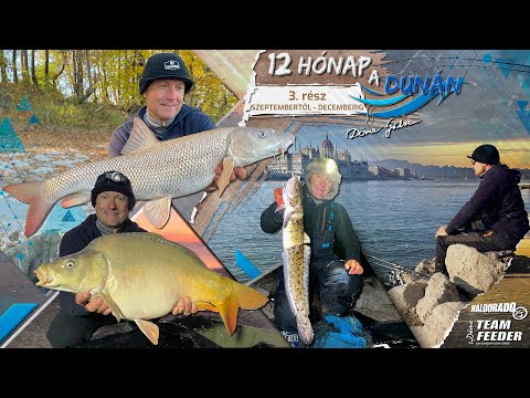 Видео: Габор Деме - 12 месяцев на Дунае 3. серия-сентябрь - декабрь